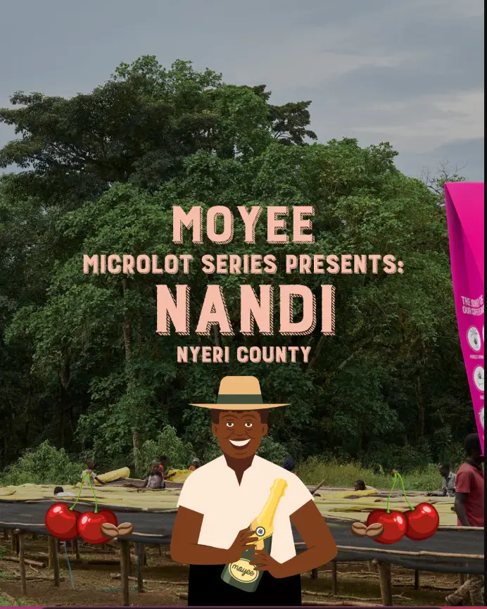 Screenshot from 2025-09-17 14-20-46.webp