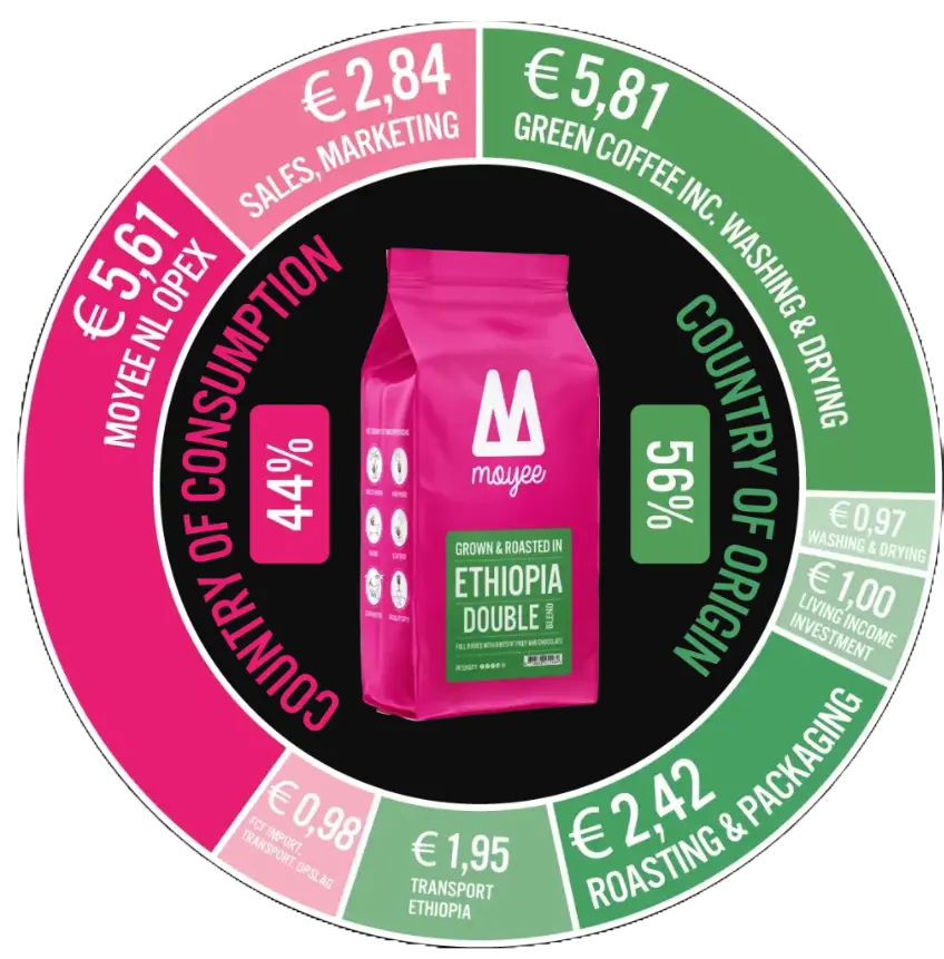 Adobe Express - file (1).webp